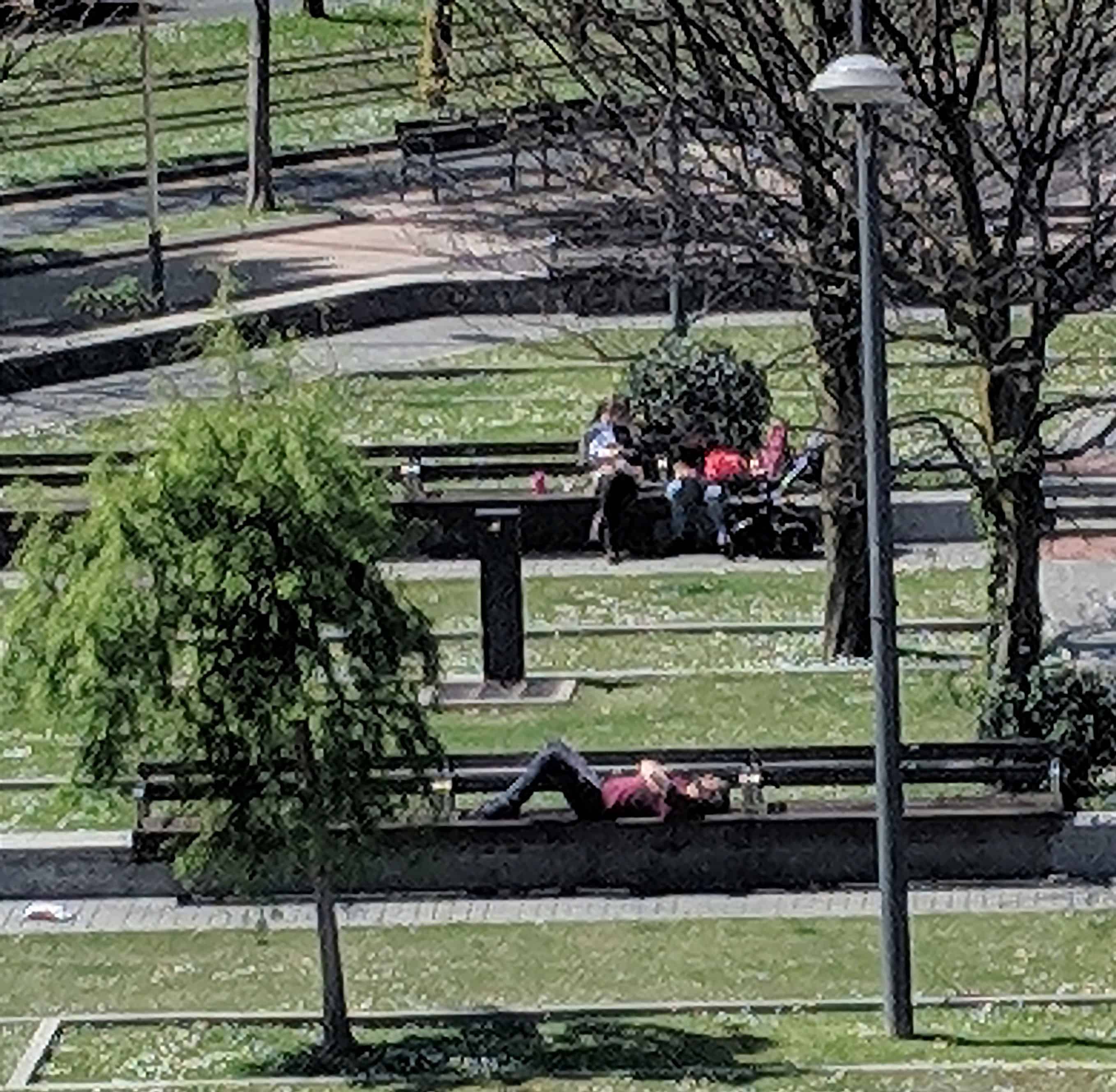 Reflecting on happiness on a park bench in Bilbao