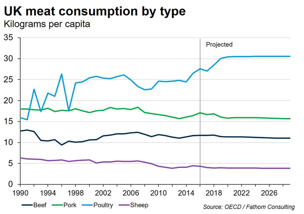 The meat we love to eat is hurting the environment