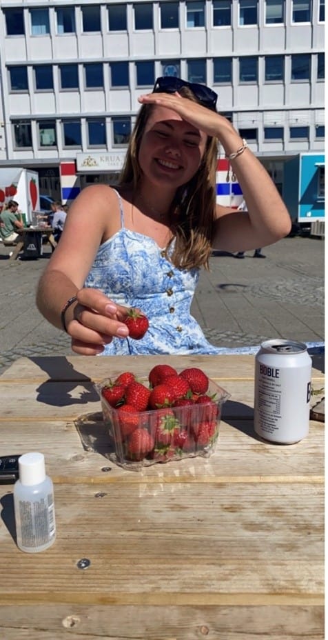 Strawberries season in Norway