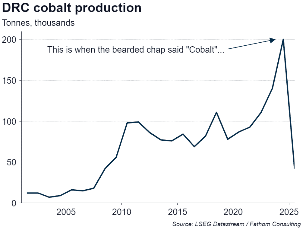 The fragility of supply chains is now of urgent interest 