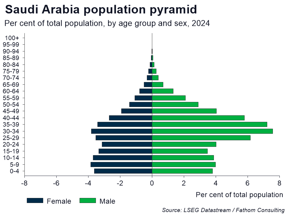 Saudi Arabia contradictions population pyramid