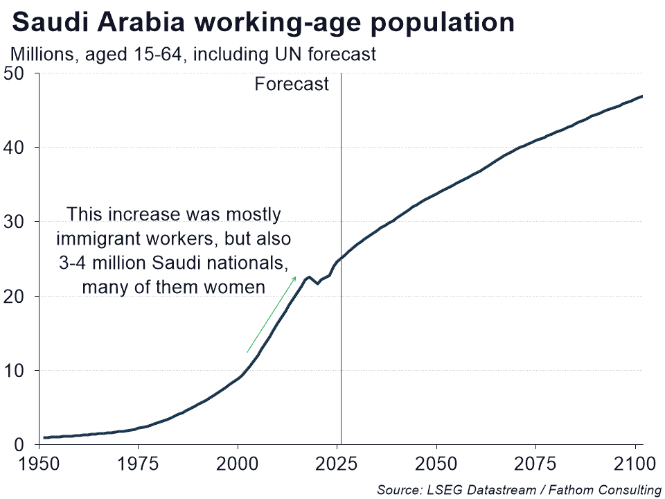 Saudi Arabia contradictions working-age population